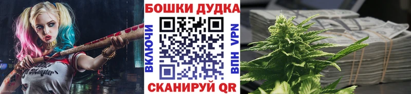 Конопля Олонец