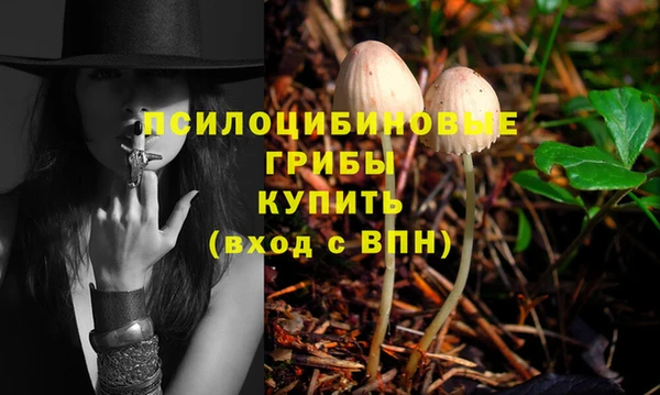 меф Новокубанск