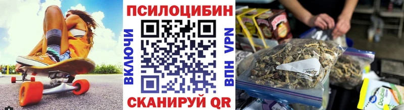 где можно купить   Олонец  Псилоцибиновые грибы ЛСД 